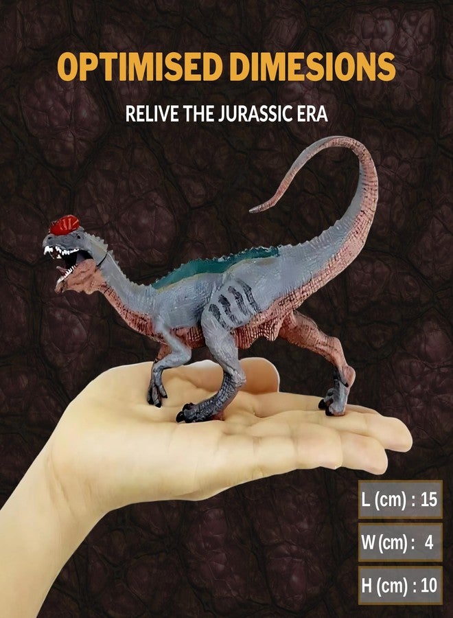 CRYA Dilophosaurus Toy Dinosaur Action Figure, Realistic Dilophosourus Big Dinosaurs Toys for Kids, Dilophosaurus Dinosaur Toy for Play and Display, Jurassic Dino Toys for Boys & Girls (Dilophosaurus) - Image 5